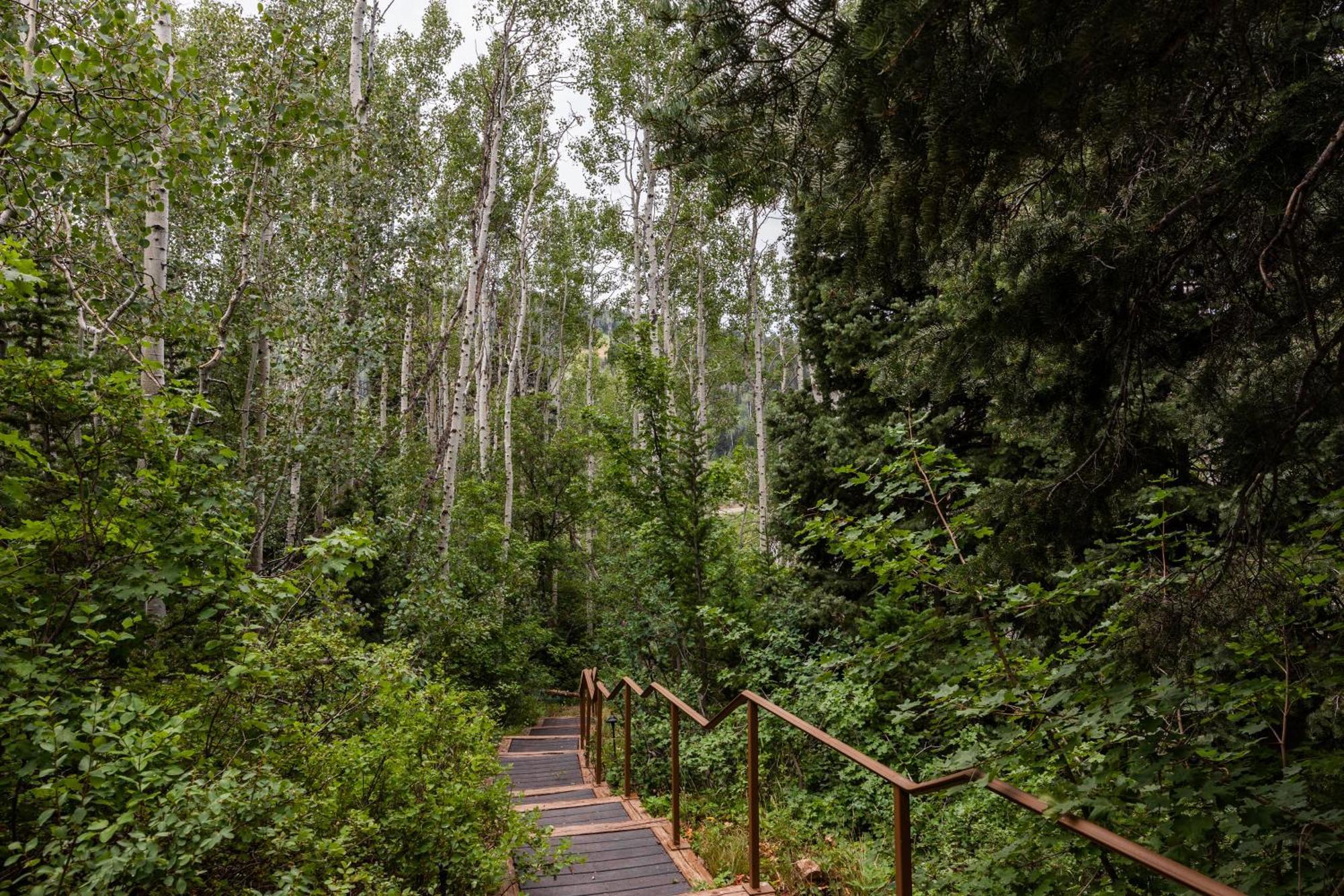 Deer Valley Little Belle Ultimate Ski Getaway, Sleeps 14, Luxury Design, Private Hot Tub, بارك سيتي المظهر الخارجي الصورة